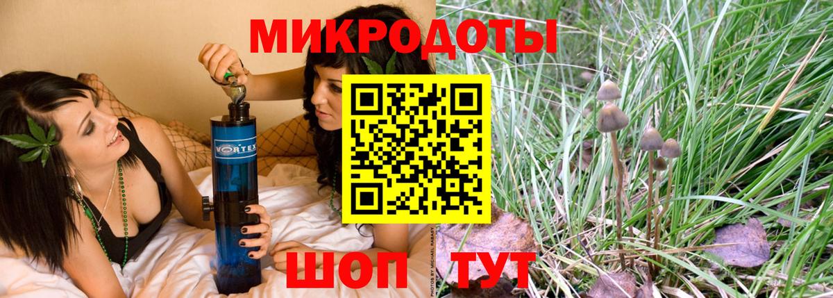 Ставрополь  Галлюциногенные грибы MAGIC MUSHROOMS  Вход с VPN 